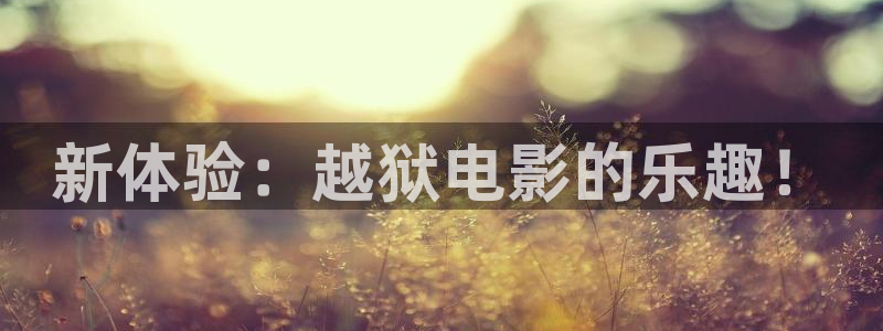 国产精品久久久久久精品电影下载：新体验：越狱电影的乐趣！