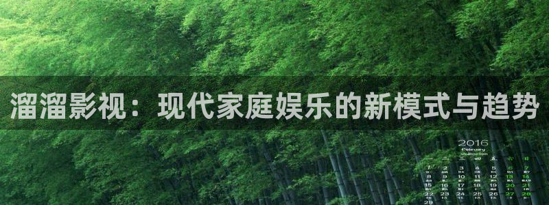 久久久久视频播放
