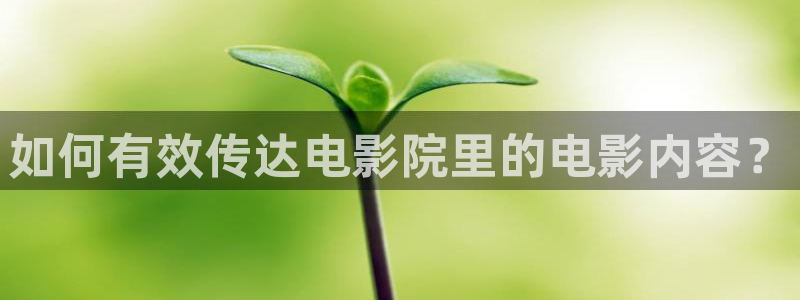 91久久久影院