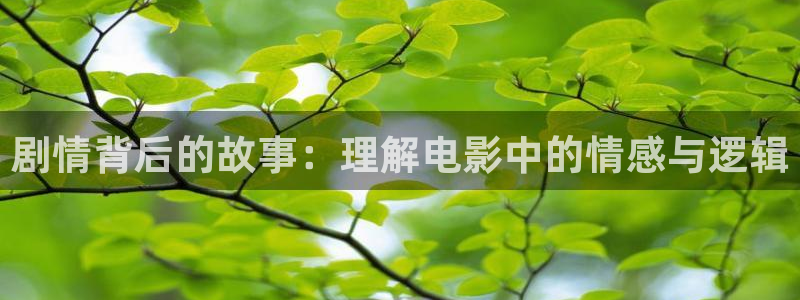 午夜小影院精品久久久