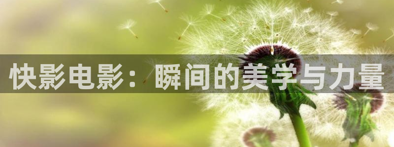 国内精品久久久久影院薰衣草