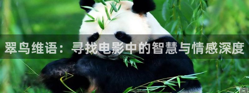 久久视频下载