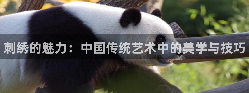 97伊人久久视频