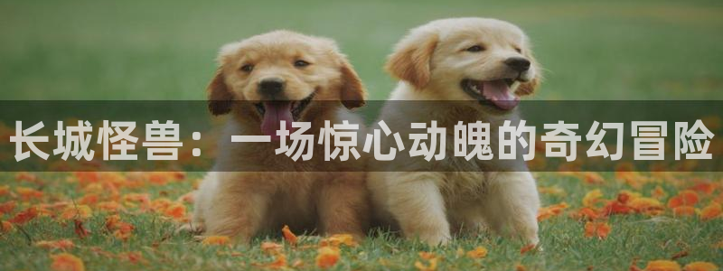 神马电影久久久久