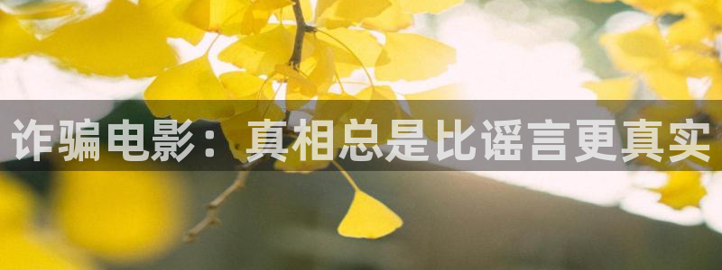 久久视频国内精品