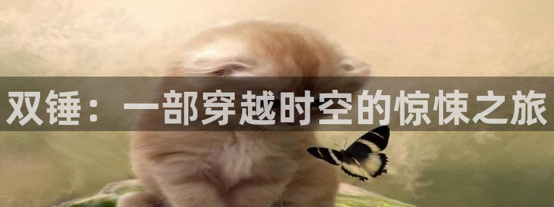 久久视频国产在线观看