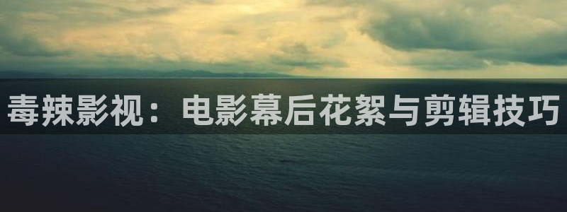 久久视频下载