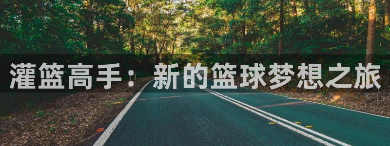 国产久久视频