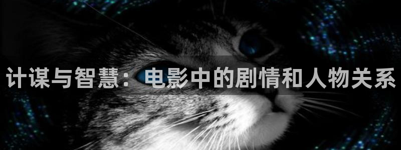 久久久久久久久精品免费视频