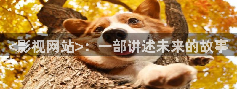日韩精品久久久久免费电影