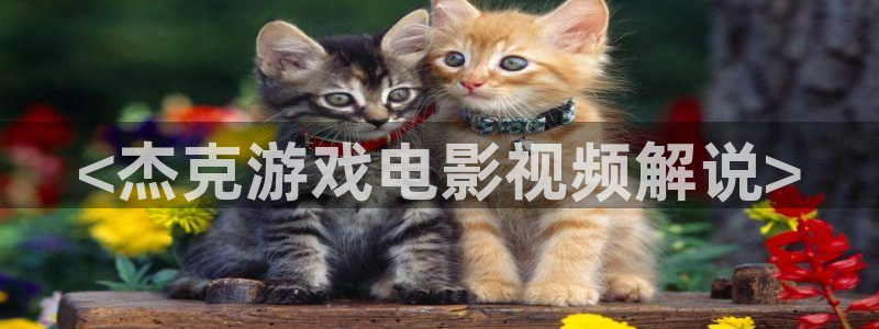 久久久久久成人影院