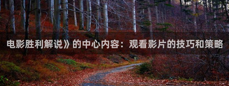 久久视频网站