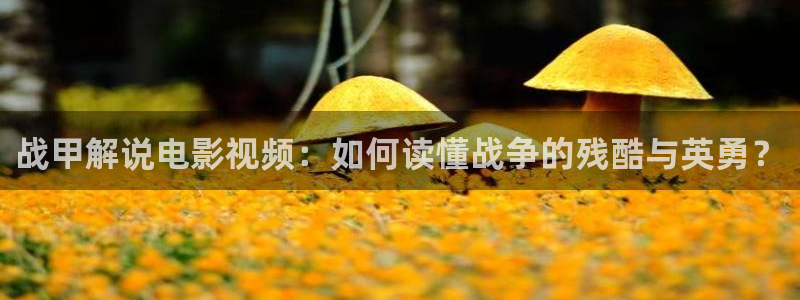 精品免费久久视频