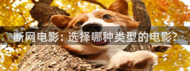 久久久久亚洲影院