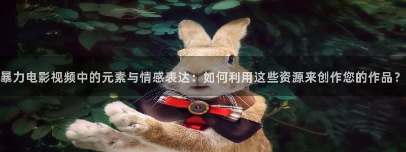 精彩久久视频