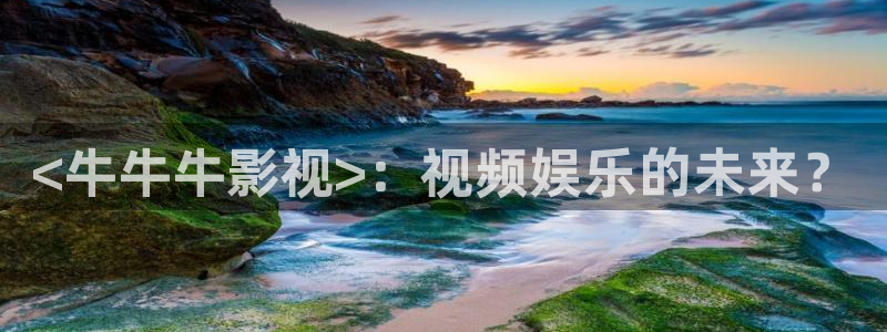 视频久久视频
