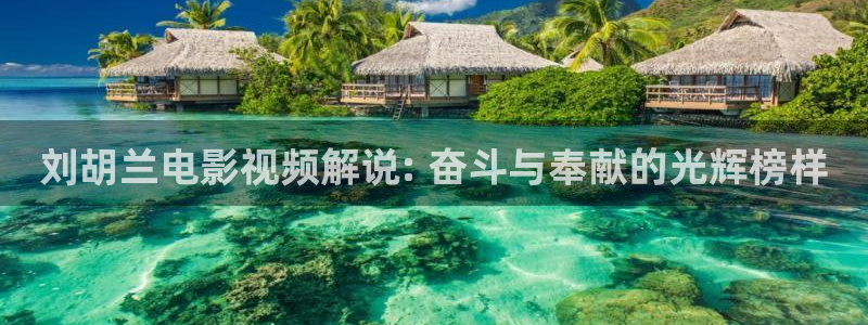 久久视频地址