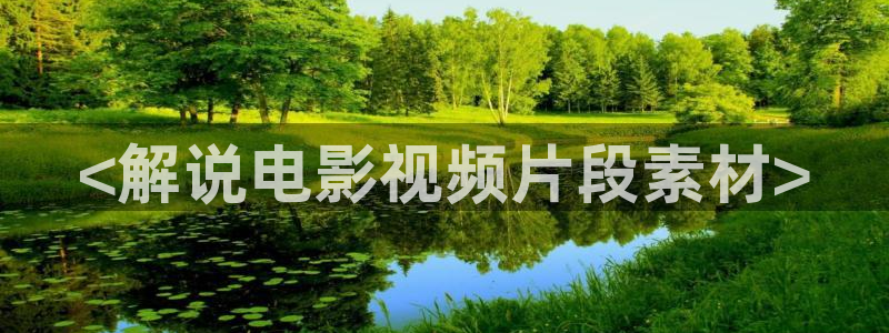 久久视频在线