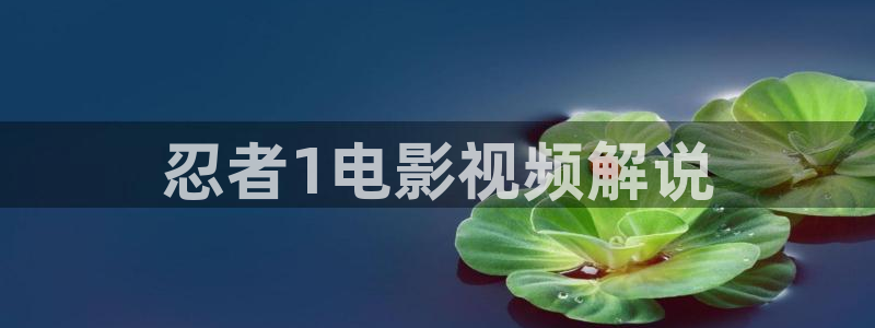 久久久国产影院：忍者1电影视频解说