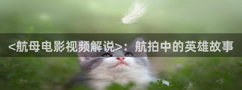 久久久国产精品桃花影视