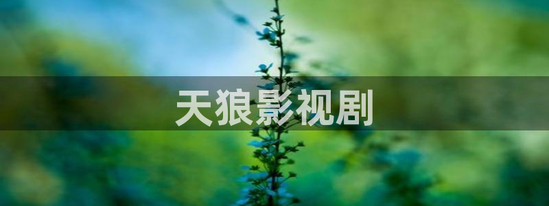 国产精品久久久久久久午夜片