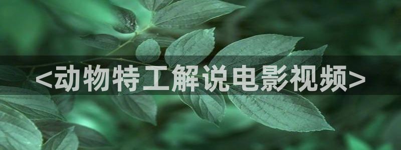 久久久电影在线