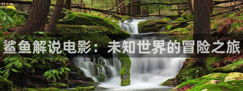午夜精品网站久久久亚洲精品影院