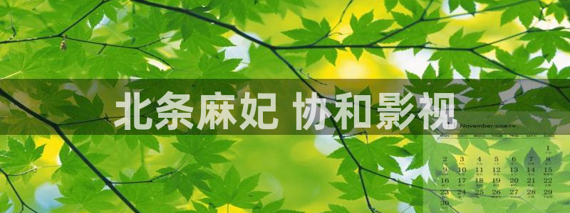 久久久久久熟女视频