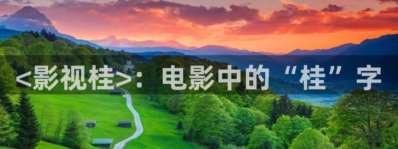 久久久久精品影视