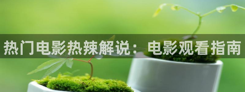 久久久网站播放