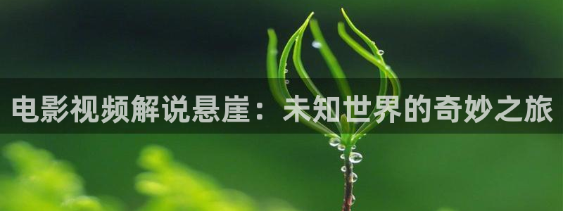 国产精品久久久久影院