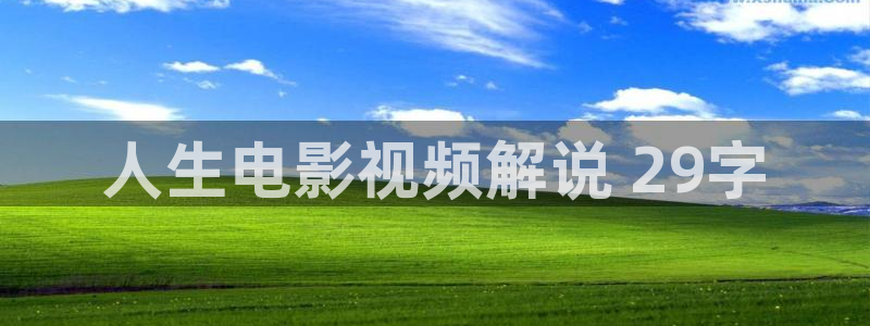 精品久久久久久久影院