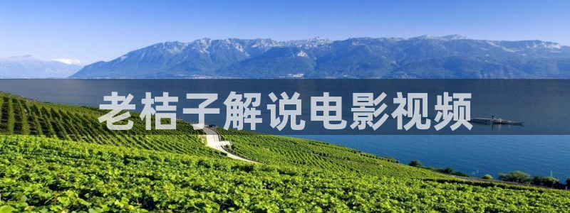 国产三级久久视频