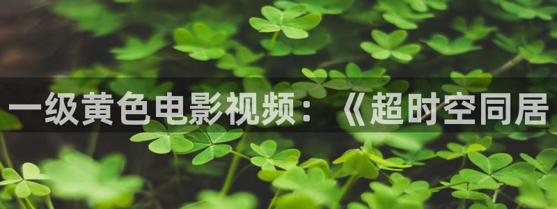 久久视频免费观看在线