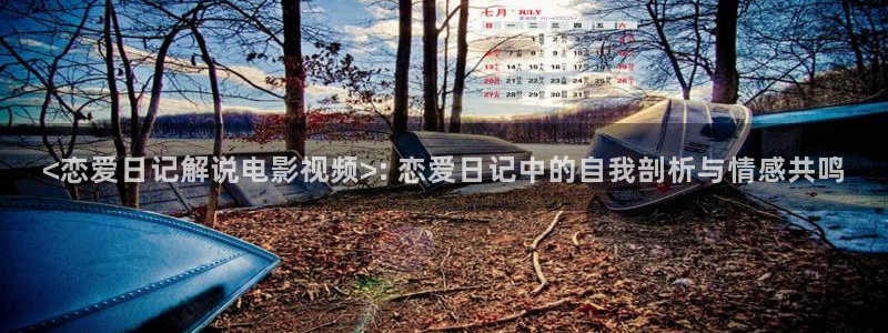 国产精品久久视频播放