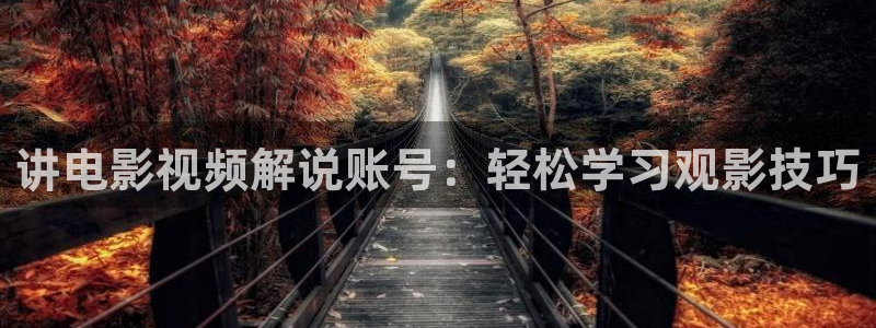 精品久久久久免费极品大片