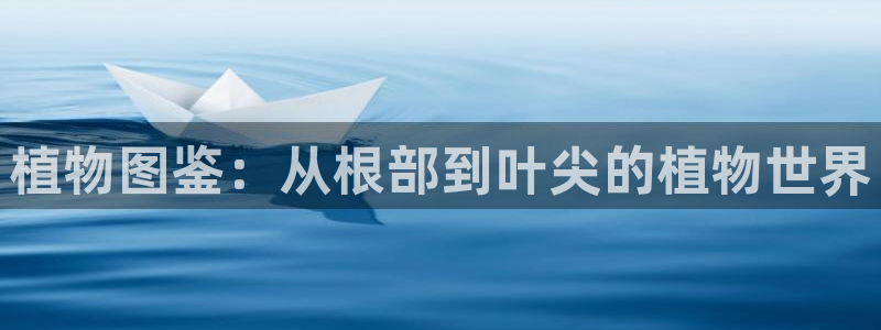 在线视频久久久久