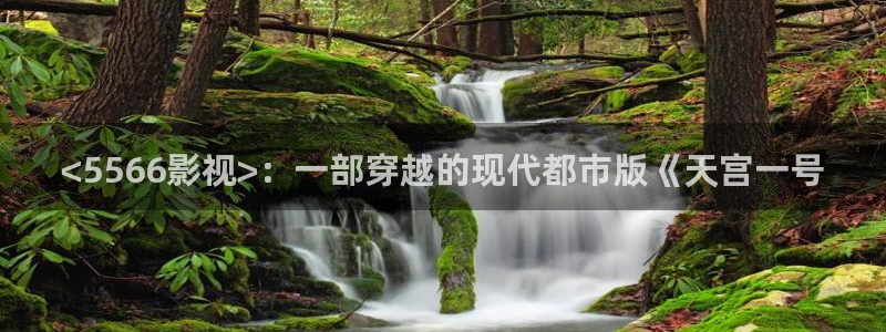 久久久精品视频电影