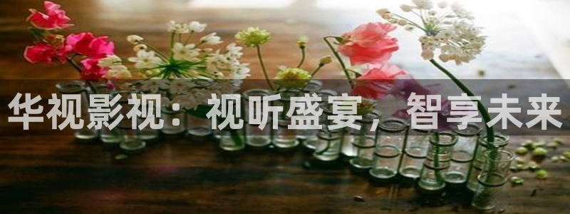 精品久久久久久久电影