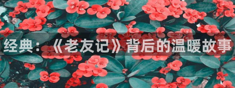 狠狠干久久视频
