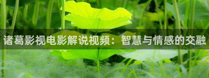 国产精品欧美久久久久天天影视