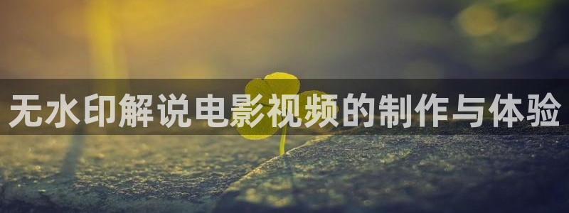 久久久久久视频