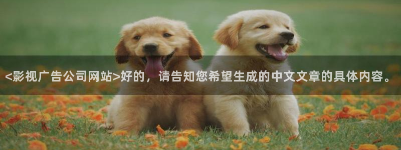 久久久电影精品