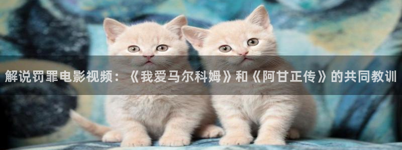 久久视频8
