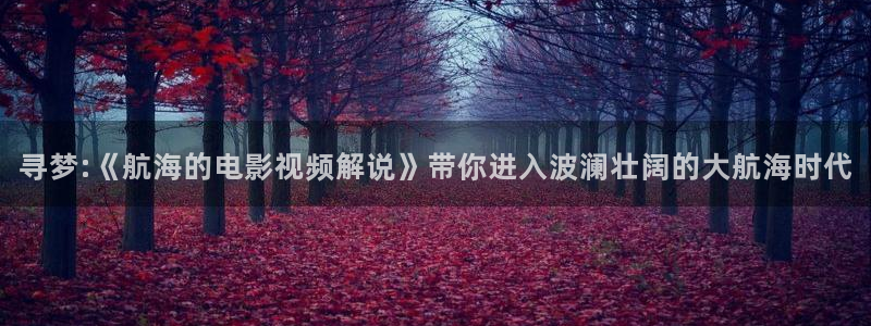精品国产电影久久久久