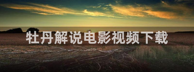 久久久久精品电影