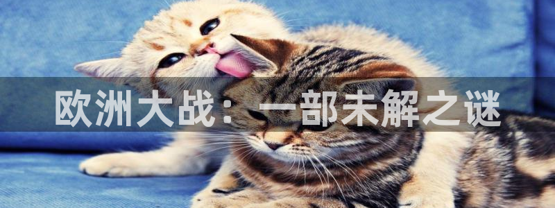 成年影院久久久