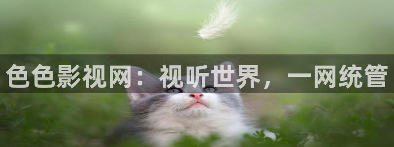 久久视频xxx