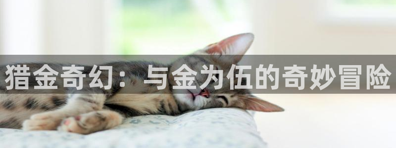 久久久久视频免费