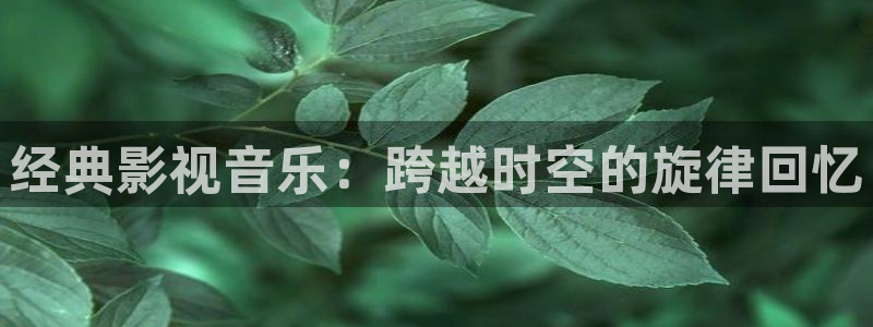 神马午夜电影院久久久久